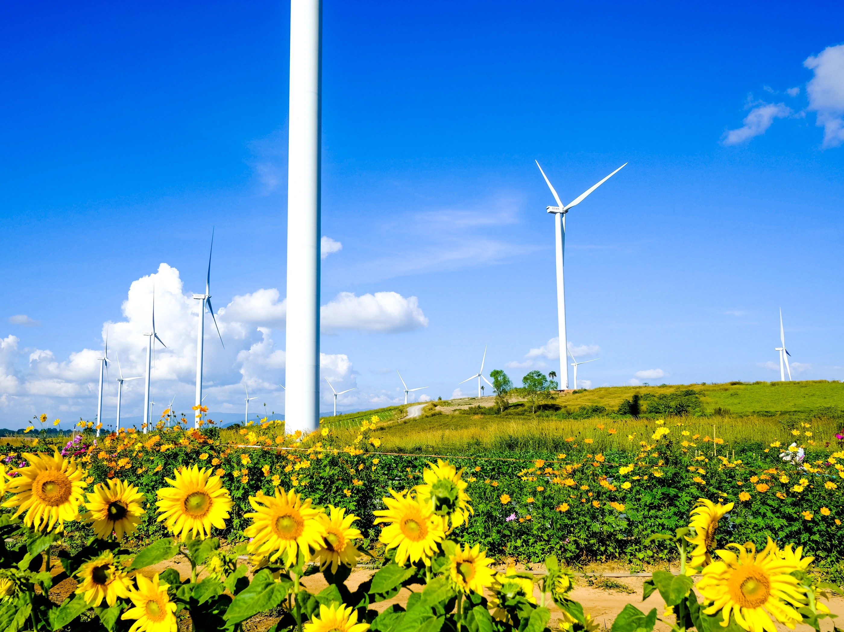 Khao Kho Windmill Field