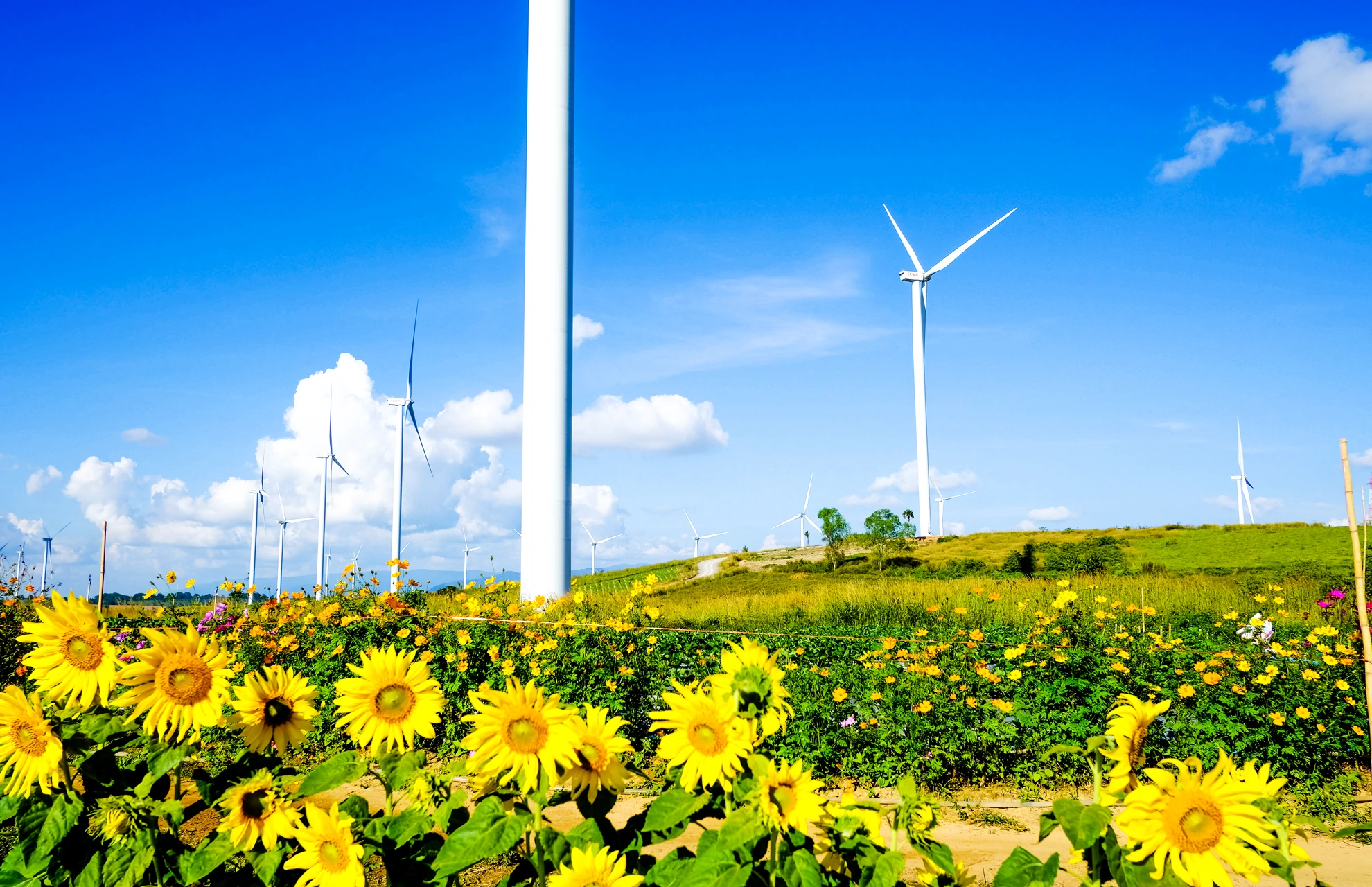 ทุ่งกังหันลมเขาค้อ